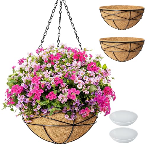 2 Pack 12 Inch Hanging Baskets for Plants Outdoor, Metal Watering Flower Planters with Coco Liner for Outside Planting, Plant Holder Pot for Home Garden Porch Balcony Railings Decor - color: 2 Pack-black, size: 10 Inch
