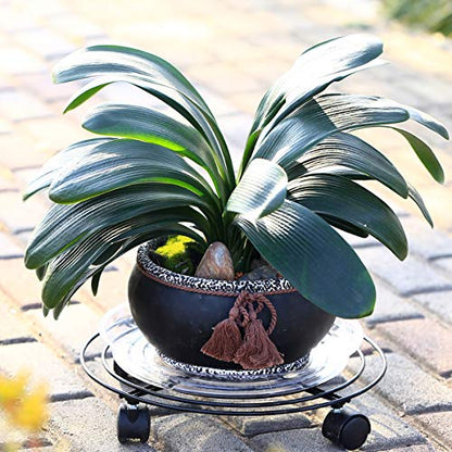 8 Packs Large Metal Plant Caddy with Wheels 13" and 11.8" Heavy-Duty Wrought Iron Rolling Plant Stands with Casters Plant Dolly Plant Roller Base Indoor and Outdoor Plant Pot Movers Planter Rollers - color: Black