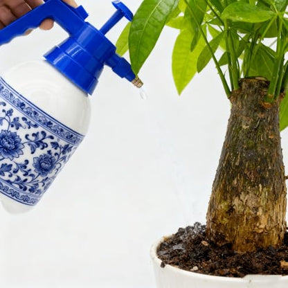 2L Handheld Garden Pump Sprayer Pressure Spray Bottle (2L Blue) - color: 2L Blue