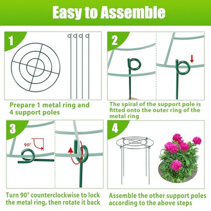 8 Pack Peony Cages and Supports, 11.5" Dx16 H Metal Plant Supports - size: 11.5" Wx16" H-8 Pack