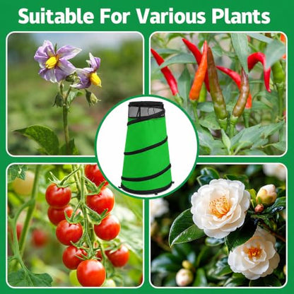 Pop Up Rose Cones for Winter Protection, Rose Collars Protective Cover - color: Green-1Pcs