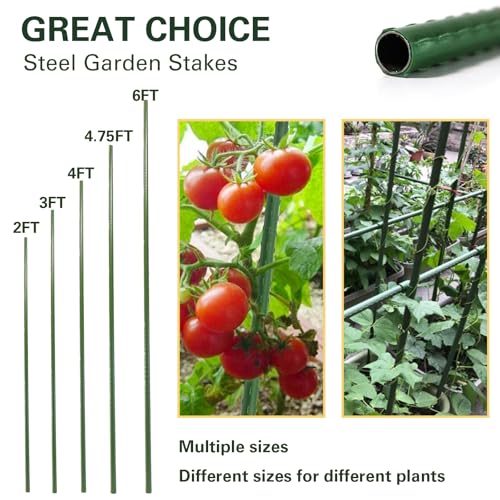Plant Stakes 6ft, Steel Garden Stakes 6 Feet 25 Pack, Sturdy Plant Support for Climbing Plants, Tomatoes, Beans, Cucumbers, Peppers, Flowers, Potted, Strengthen and Stem to Grow Better - size: 6FT, 25 of pack