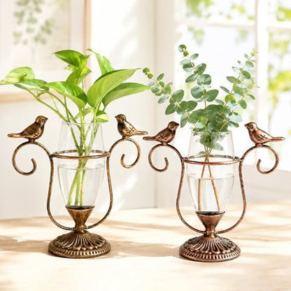 2 Pack Desktop Plant Propagation Terrarium with Metal Stand - color: Bird, size: 7.1"×6.6"