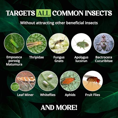 Catchmaster GRO Yellow Regular Double Sided Sticky Traps 36PK, Adhesive Bug & Fruit Fly Trap, Pest Control for Home, Farm, Garden, Hydroponics & Greenhouse, Protect Live Plants Indoor & Outdoor - size: 36 Pack - Yellow