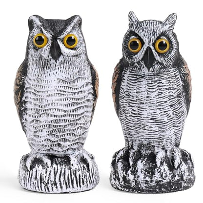OFFO 2 Pack Realistic Owl Statue, Hand-Painted Garden Owl Decor, 8 Inch - size: 8 in