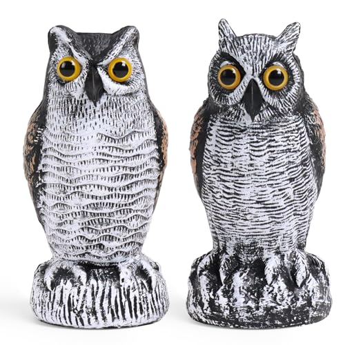 OFFO 2 Pack Realistic Owl Statue, Hand-Painted Garden Owl Decor, 10 Inch - size: 10 in