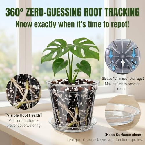 Root-Safe Clear Plant Pots for Indoor: Zero Transplant Shock for Orchids