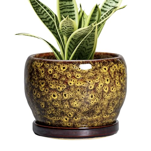 SQOWL 6 Inch Plant Pot - Ceramic Flower Pots with Drainage Hole and Saucer, Ceramic Planter for Indoor Plants Outdoor, Round Decorative Small Planter, Table Desk Decor, Housewarming Gifts, Yellow - color: Leopard Yellow, size: 6 Inch
