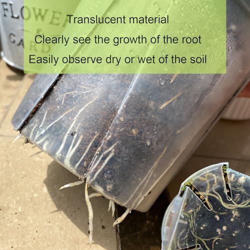 Clear Plant Nursery pots with Saucers,5/6/7/8 inch 8 Pack - size: 5/6/7/8 inch with trays