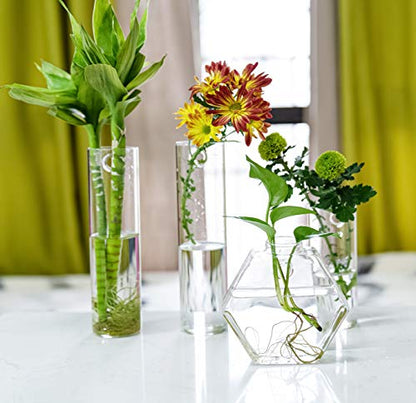 Kingbuy Hexagon Wall Planter Set - 3 Pack Glass Propagation Terrarium Vases with Hanging Mounts for Indoor Plants, Air Plants & Hydroponic Stations Home Office Decor, Plant Lover Gifts (Medium) - size: Medium