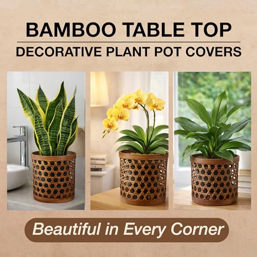 Handcrafted Bamboo Tabletop Decorative Plant Pot Covers - Multi Set of 3 – for Indoor Plants, Orchids, Succulents – Natural Handmade Thai Bamboo Plant Basket