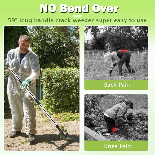 Crack Weeder with Long Handle, 60" Manual Crevice Weeding Tool