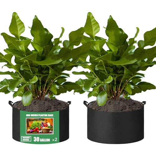 2-Pack 30 Gallon Fabric Grow Bags with Handle, Heavy Duty 300G Thickened Nonwoven with Handles and Reusable, Suitable for Garden Vegetables,Fruits and Flowers(Black) - size: 30 gallon (23.5''D×15.5''H)