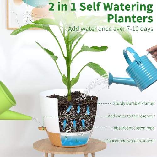 12/10/9/8/6 Inch Self Watering Pots for Indoor Outdoor Plants, Set of 5 Large Plastic Planters with Visual Water Window, Drainage Holes & Watering Lip, Modern Decorative Flower Pots (White) - color: White, size: 6/8/9/10/12 Inch