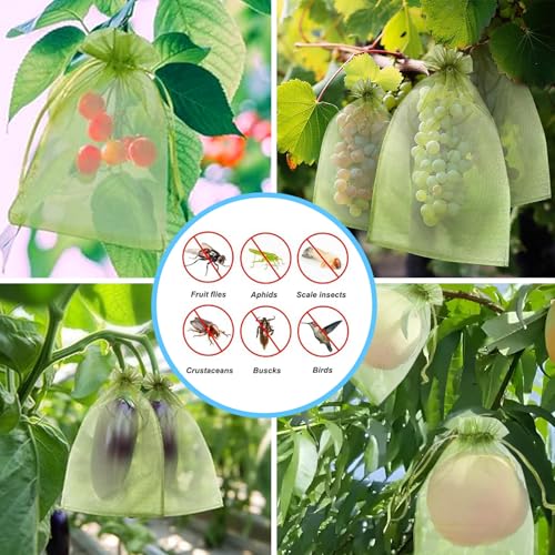 8x12 inch Fruit Protection Bags, 100PCS Green Netting Cover Fruit Mesh Drawstring Bags Protectors Pest Barrier for Fruit Tree, Tomato, Blueberry, Small Fruit Veggies Garden - size: 8x12 inch
