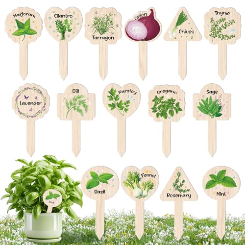 JUYRLE Plant Label Signs- 15PACK Herb Garden Markers, Plant Labels for Outdoor Garden Waterproof, Plant Tags with Names, Indoor Patio Tags for Succulent Flowers Greenery Seedling - style: Herb-PVC