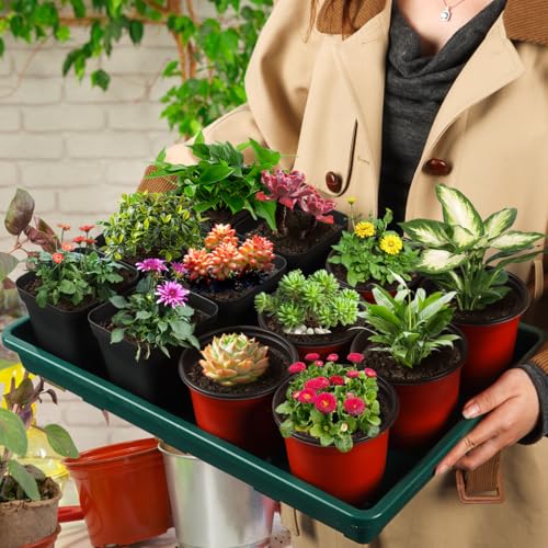 RooTrimmer 5 Pack Seed Starter Trays (17"x11"x2"), Plastic Flat Nursery Pots Trays, Durable Carrying Seedling Starter Tray, Reusable Tray for Planting and Collecting Drainage Water (Green) - color: Green, size: Holding Trays-5P