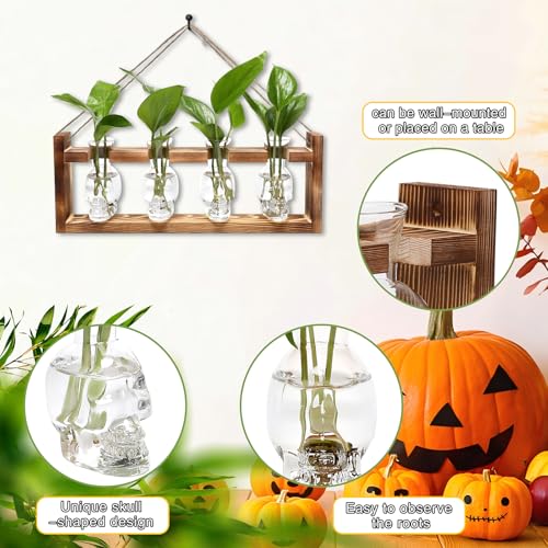 Plant Propagation Stations Halloween Skull Plant Terrarium Kit - color: Transparent