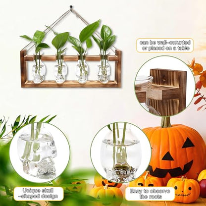 Plant Propagation Stations Halloween Skull Plant Terrarium Kit - color: Transparent