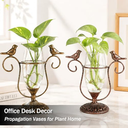 2 Pack Desktop Plant Propagation Terrarium with Metal Stand - color: Bird, size: 7.1"×6.6"