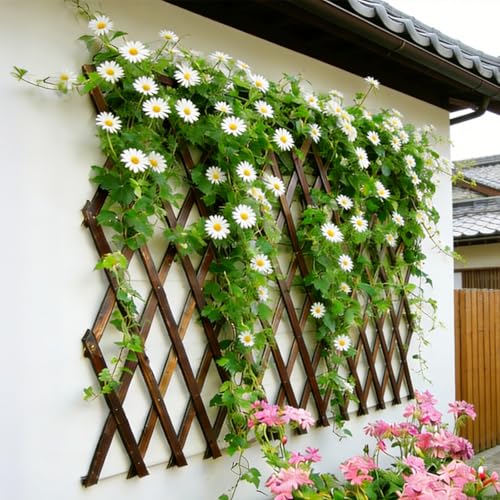 Expandable Garden Trellis, 38"x89" Trellis for Climbing Plants Outdoor 1Pcs - size: 38" x 89" 1 Pack