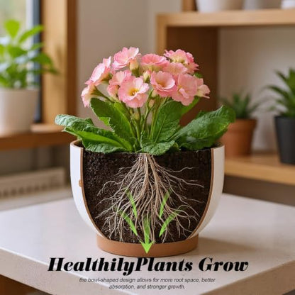 Terracotta Pots, 8+6 Inch Plant Pots, 2 Pcs with Drainage Holes - color: French Country, size: 8+6 Inch