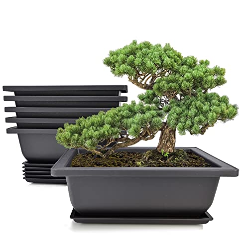MUZHI 6PCS/Pack Retro Style Basin Larger Plastic Flower Pot Planters 8.9 Inch Bonsai Plant Bowl Nursery Pots Plastic Bonsai Training Pots Rectangle Large - size: 6pcs large rect 8.9"