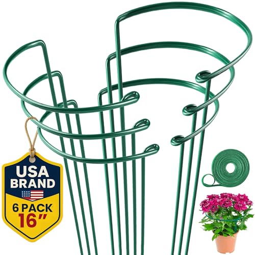 Tall Plant Support Stakes for Indoor and Outdoor - Peony Cages and Supports - Plant Cage Ring for Potted Flower - Peony, Tomato, Hydrangea, Rose Bush 10" W x 16" H (6 Pack) - size: 6 Pack - 10'' Wide x 16'' High