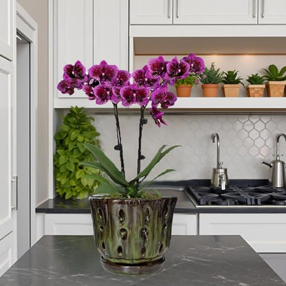 Ceramic Orchid Pots with Drainage Hole 6'' (mossgreen) - color: Mossgreen