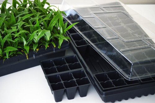 9GreenBox - Seed Starter Germination Kit