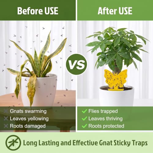 Yellow Sticky Fruit Fly Trap 60 Pack, Gnat Traps for House Indoor Plants - size: 60 Pack