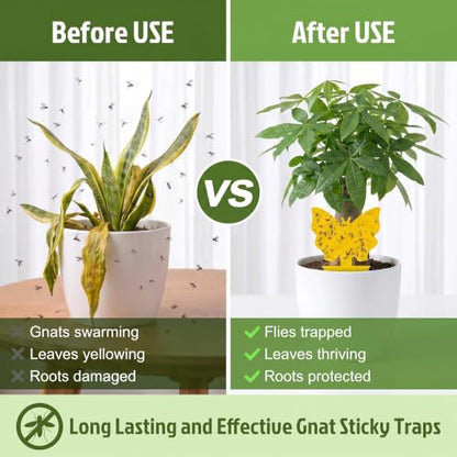 Yellow Sticky Fruit Fly Trap 60 Pack, Gnat Traps for House Indoor Plants - size: 60 Pack