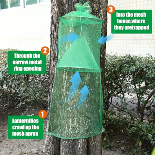 Qualirey 8 Pack Spotted Lanternfly Trap Lanternfly Killer for Tree,Green - color: Green