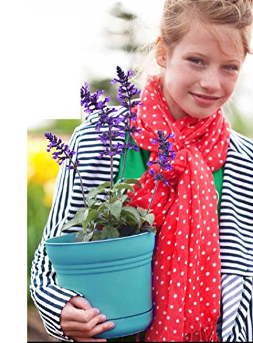 Bloem SP0712 Saturn Planter, 7-Inch, Union Red - color: Union Red, size: 7"