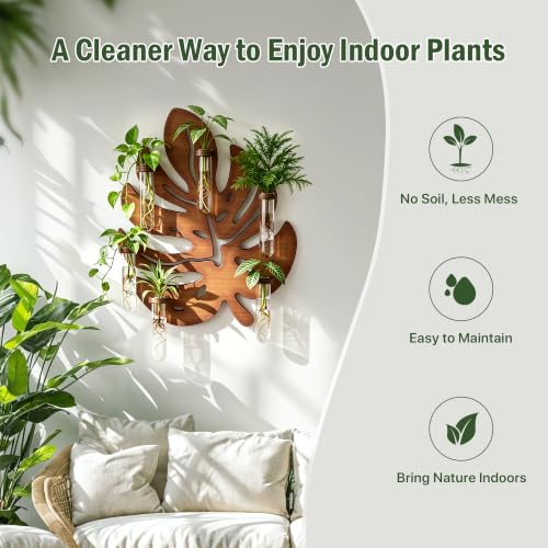 Plant Propagation Station, Monstera Hanging Wall Planter with 6 Glass Tubes - size: 1 Pack