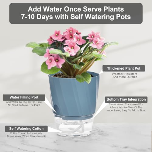 Self Watering Plant Pots 4.7 Inch, 6 Pack Plastic Indoor Planters Pots - color: White, Pink, Blue, size: 4.7 Inch Set of 6