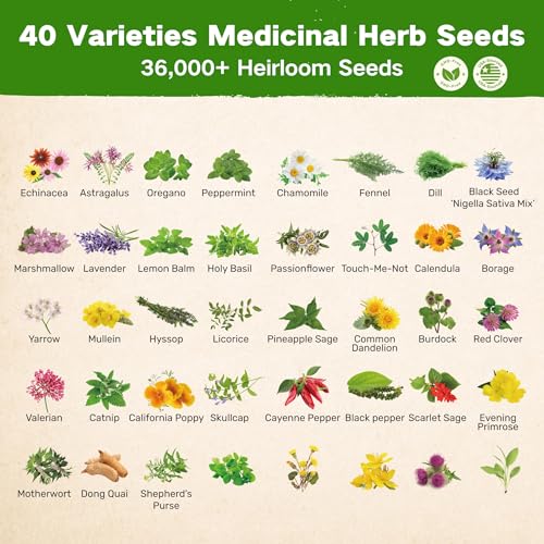 Lush&Dew Ancestral Apothecary Medicinal Tea Herb Seed Chest, Gardening Gift - style: Medicinal Herbs