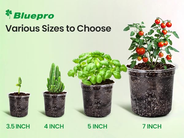 Bluepro Clear Nursery Pots with Drainage Holes, 4/5/7 Inch, 30-Pack - size: 4/5/7 Inch-30Pcs