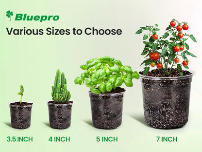 Bluepro Clear Nursery Pots with Drainage Holes, 4/5/7 Inch, 30-Pack - size: 4/5/7 Inch-30Pcs