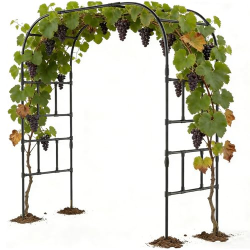 DoCred 87" H x 79" L Garden Arch Trellis, Metal Trellis for Climbing Plants - size: 87"H x 79"L x 16"W
