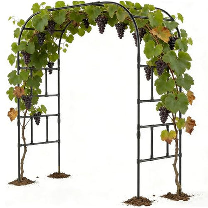 DoCred 87" H x 79" L Garden Arch Trellis, Metal Trellis for Climbing Plants - size: 87"H x 79"L x 16"W