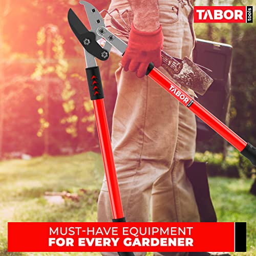 TABOR TOOLS GG12A Anvil Lopper with Compound Action, 30 Inch Tree Trimmer & Branch Cutter, Heavy Duty Tree Pruner with 2 Inch Cut Capacity, Chops Thick Dry Branches with Ease - style: GG12A 30 Inch Anvil Lopper with lever