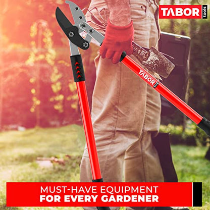 TABOR TOOLS GG12A Anvil Lopper with Compound Action, 30 Inch Tree Trimmer & Branch Cutter, Heavy Duty Tree Pruner with 2 Inch Cut Capacity, Chops Thick Dry Branches with Ease - style: GG12A 30 Inch Anvil Lopper with lever