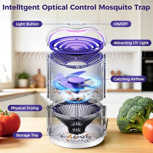 Fly Trap Indoor, Fruit Fly Traps for Indoors Suction &Adjust Light, White - color: White
