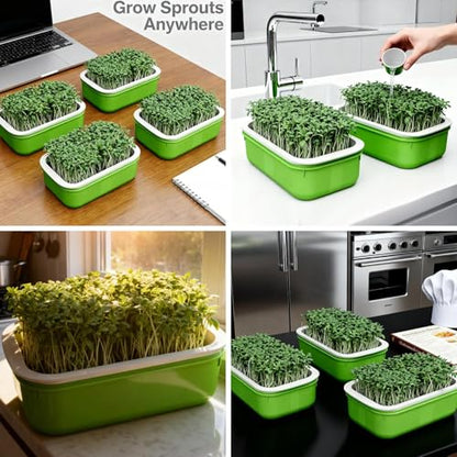 Plastic Double-Layer Plant Growing Nursery Pots Vegetable Flower Seedlings Tray Soilless Germination Plate Garden Tools,16.5 * 10.5 * 5.5cm(1 pc) - color: 1 Pc