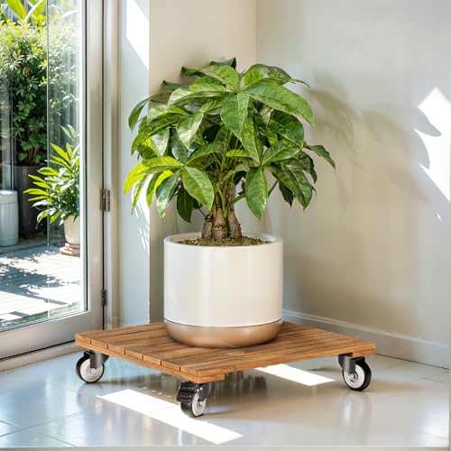 Idzo 2-Pack 12 Inch Acacia Wood Rolling Square Plant Caddy for Plant Pots, Heavy Duty Plant Stand with 360° Lockable Wheels, 264 lbs Capacity Caddy for Indoor and Outdoor Use, Natural Wood - color: Square Wood Natural, size: 12 Inch