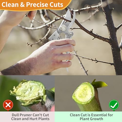 BOOSDEN Bypass Pruning Shears, 8'' Garden Trimmers with SK5 Blades