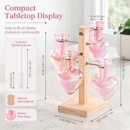 Nacome Plant Terrarium Propagation Stations: Pink Vase with Wooden Stand - color: Pink