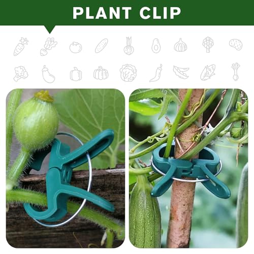 Plant Clips for Climbing Plants, Garden Support for Tomatoes & Vine - size: 60 Big