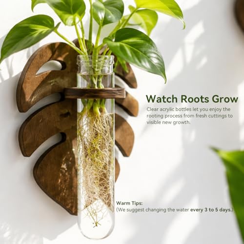 Artilady Plant Propagation Station Wall Hanging, Planter Terrariums Tube - color: Leaves